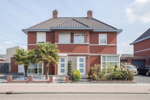 http://mail.audriuskriauciunas.com/files/gimgs/th-4_Palm-22.jpg