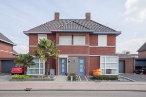 http://mail.audriuskriauciunas.com/files/gimgs/th-4_Palm-23.jpg