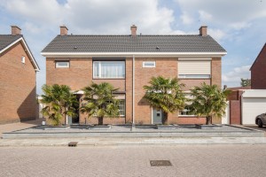 http://mail.audriuskriauciunas.com/files/gimgs/th-4_Palm-39.jpg