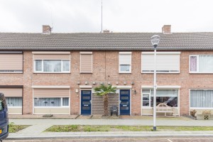 http://mail.audriuskriauciunas.com/files/gimgs/th-4_Palm-4.jpg
