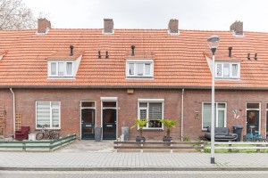 http://mail.audriuskriauciunas.com/files/gimgs/th-4_Palm-8.jpg
